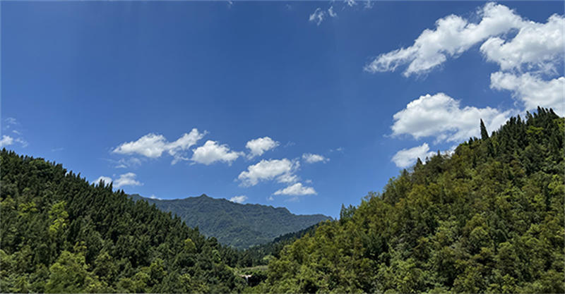 05.jpg