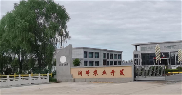 是22222222222.png