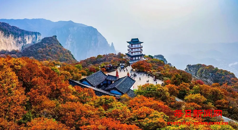 图3333.png 图3333.png
