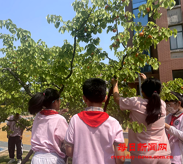 图片9.png