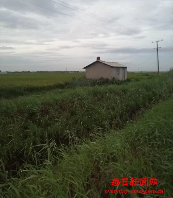 04.jpg