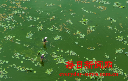 去77777777.png