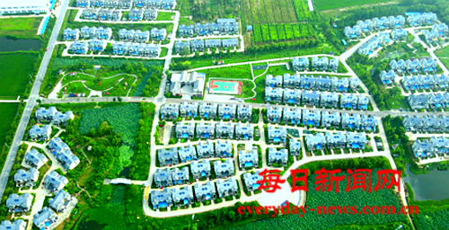 案1111111111111.png