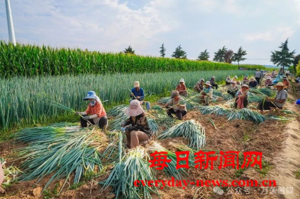 全球11111111111111.png