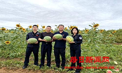 案111111111111111.png