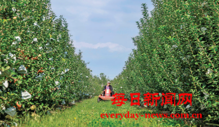 案3333333333333.png