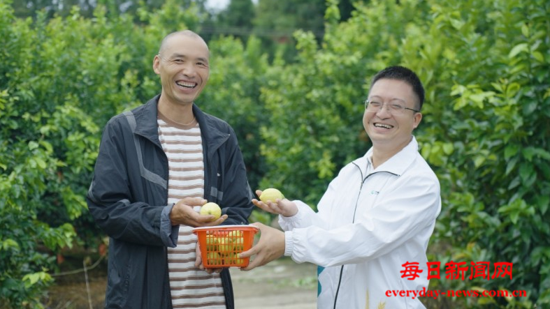 去5555555555.png