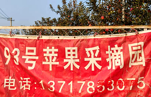 问问1111111111111111111111.png