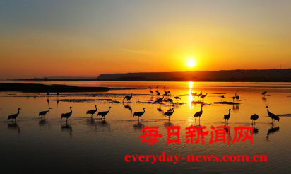案1111111111111.png