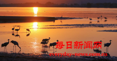 案22222222.png