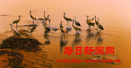 案3333333.png