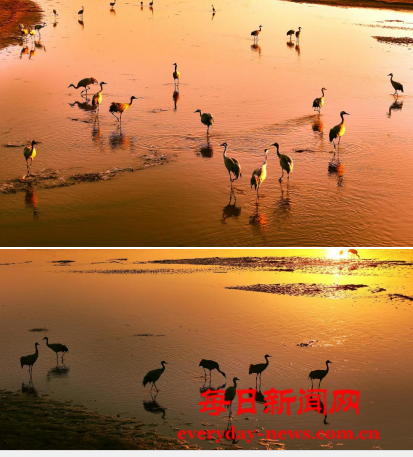 案444555.png