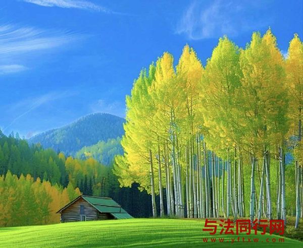 司法部行政复议与应诉局：完善行政复议法配