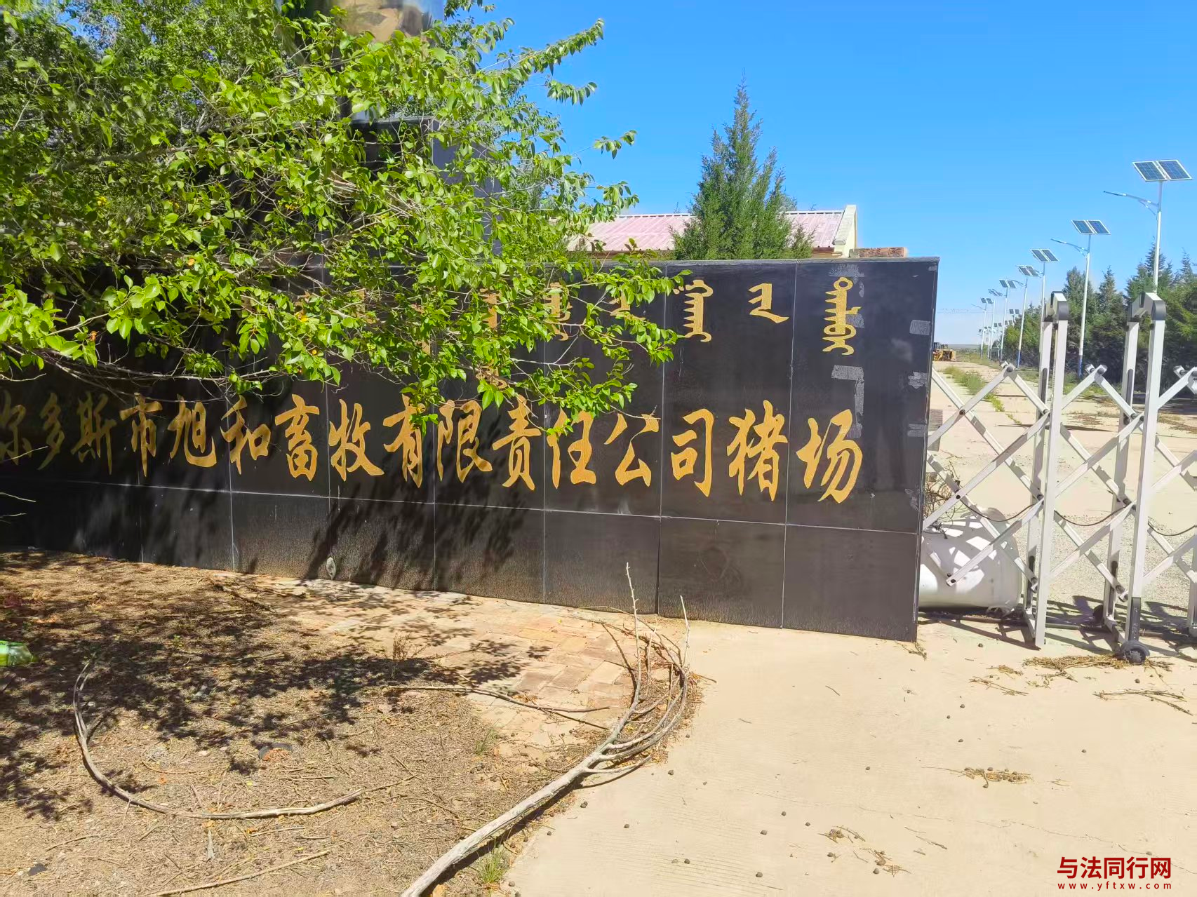 图片1.png